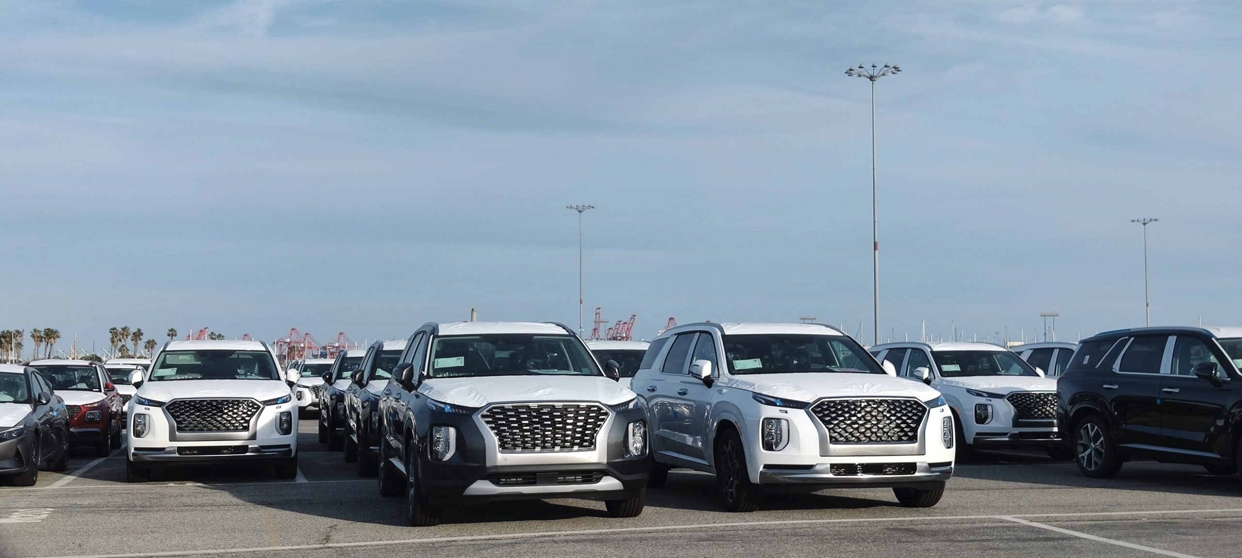 new suvs sitting at the port